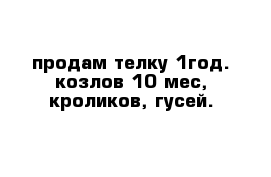 продам телку 1год. козлов 10 мес, кроликов, гусей.